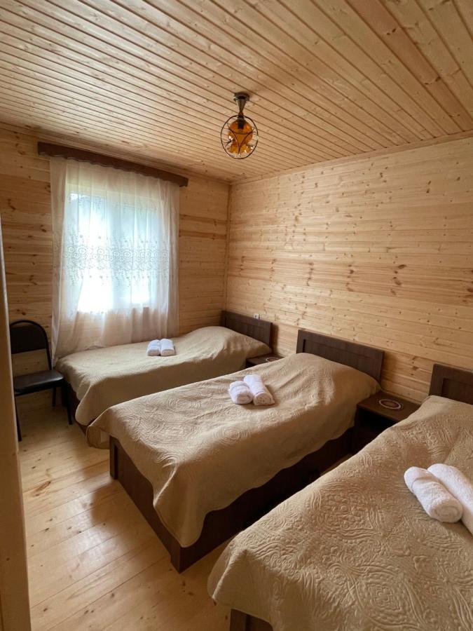 Warm House ξενώνας Kazbegi Εξωτερικό φωτογραφία