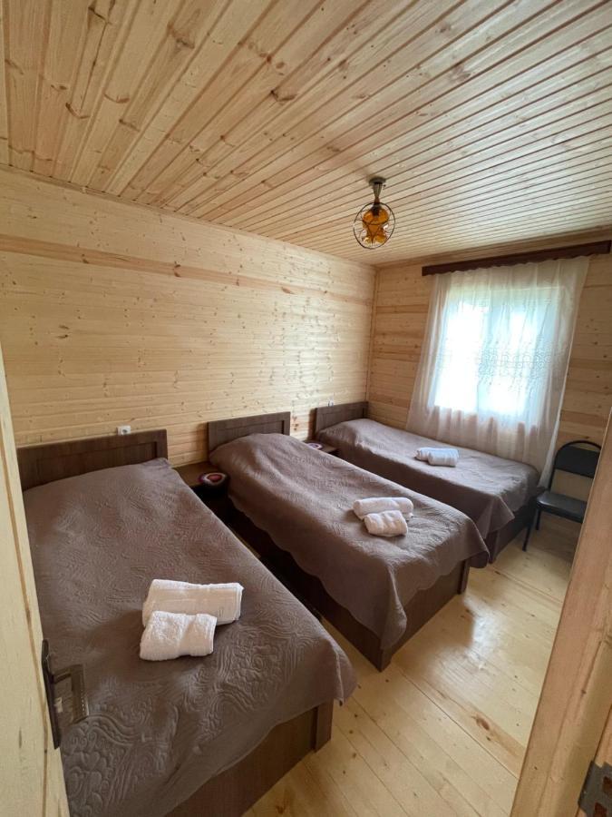Warm House ξενώνας Kazbegi Εξωτερικό φωτογραφία